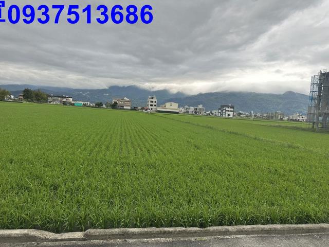 礁溪農地-7