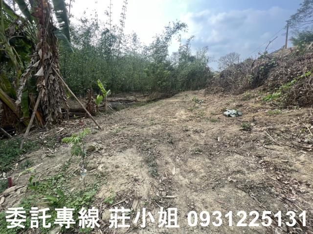 台南新化農地-11