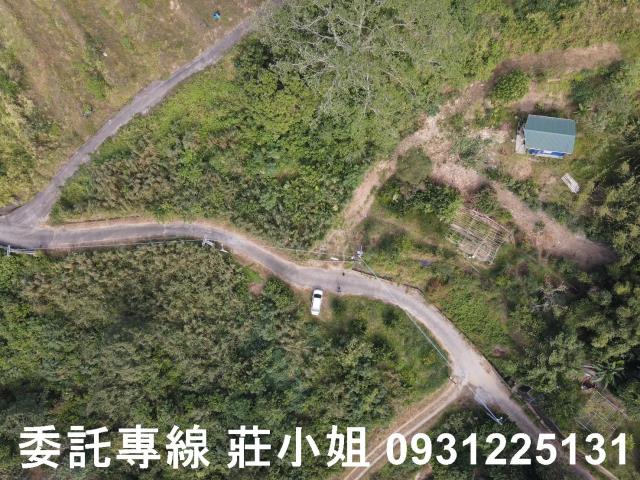 台南新化農地-4