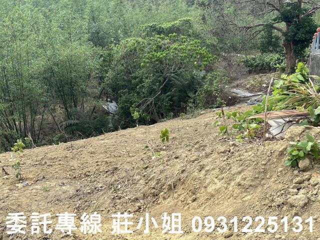 台南新化農地-7