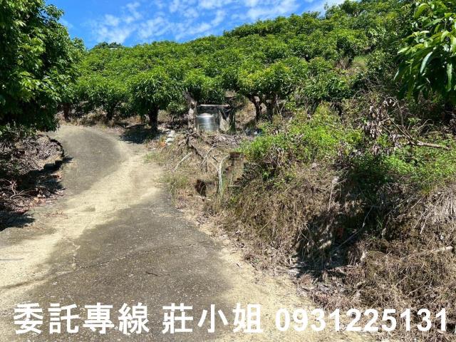 台南南化農地-4