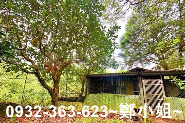 桃園復興農地-13