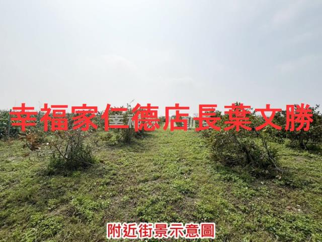 台南鹽水農地-11