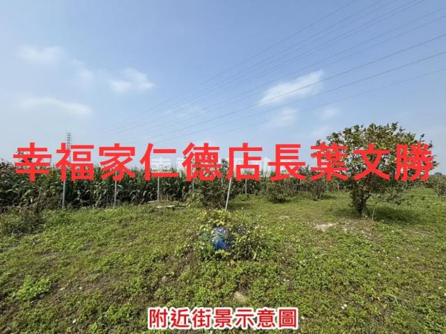 台南鹽水農地-3