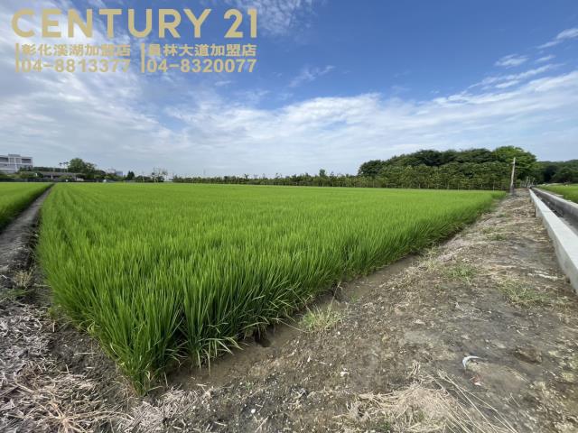彰化竹塘農地-3