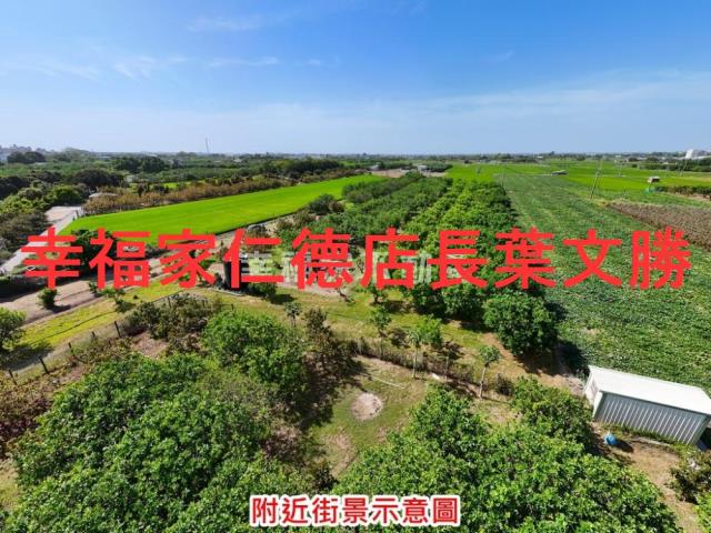 麻豆農地-12