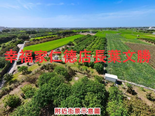 麻豆農地-4