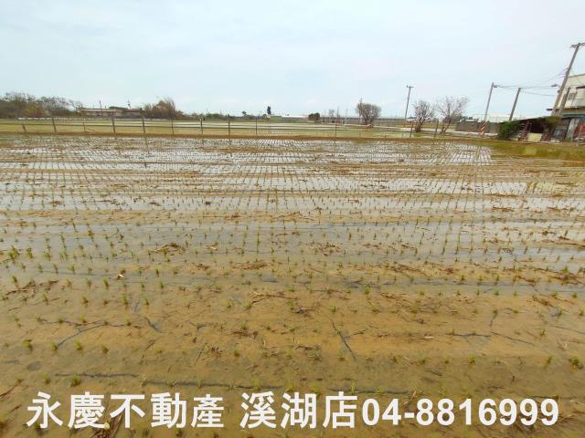 埔鹽農地-6