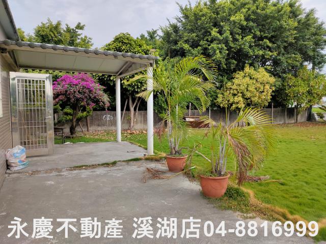 埤頭農地-6