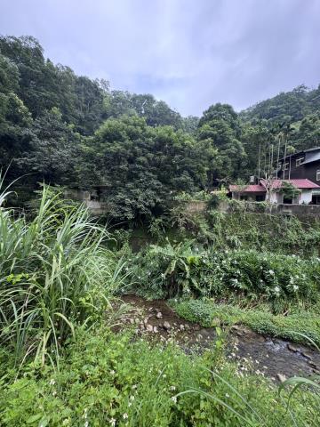 北埔農地-9
