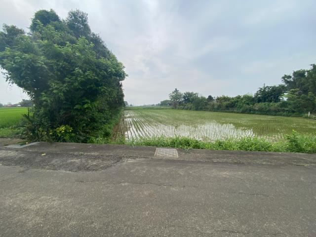 近青埔方正農地