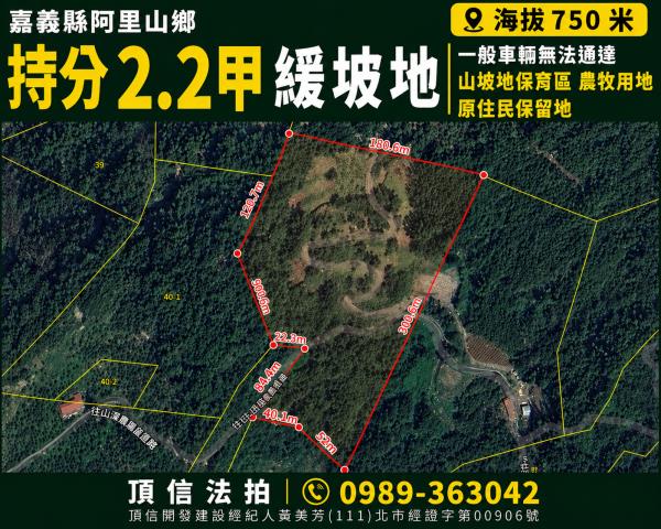 嘉義大林近中興路二段656坪3柳丁園