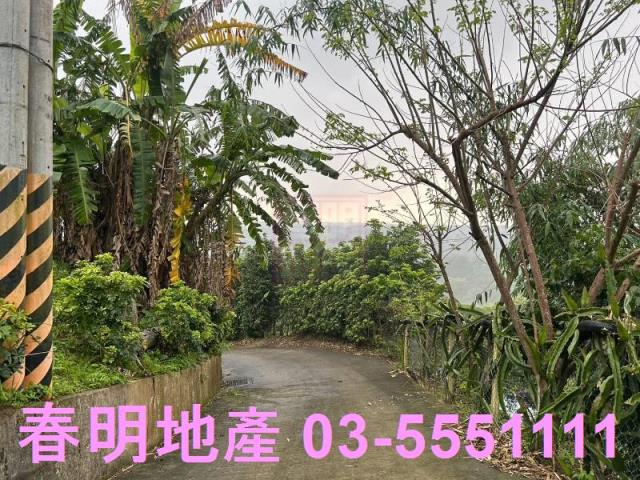 新竹農地-10