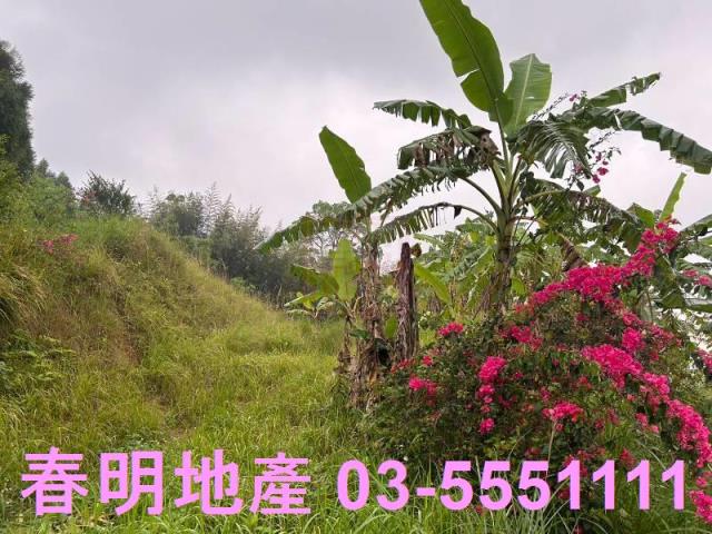 新竹農地-2