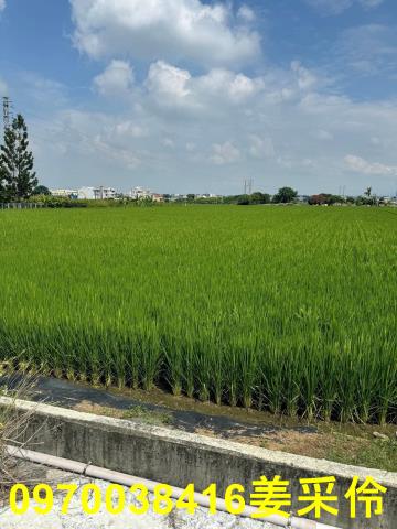 嘉義民雄農地-9