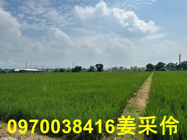 嘉義民雄農地-10