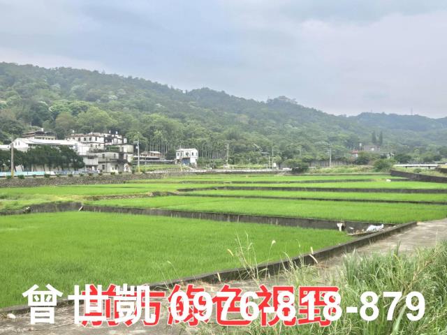 新竹關西建地-6