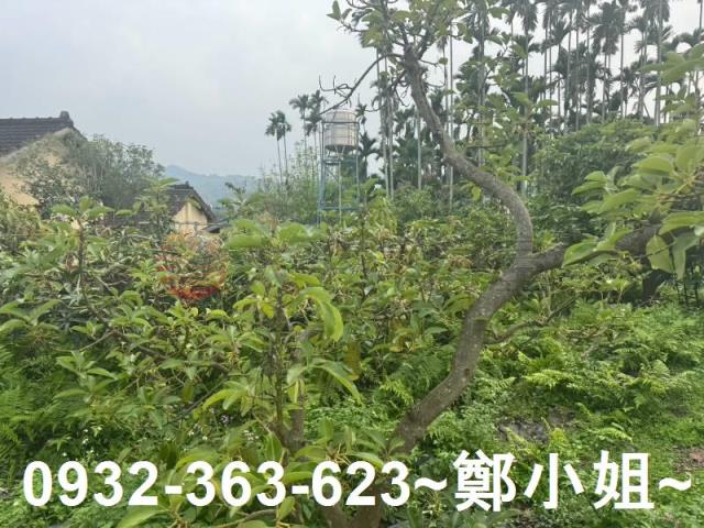 南投竹山農地-12