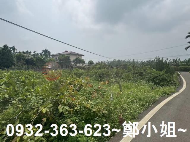 南投竹山農地-3