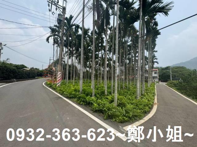 南投竹山農地-7