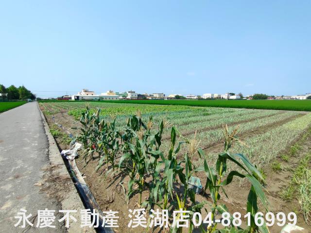 彰化埔鹽農地-9