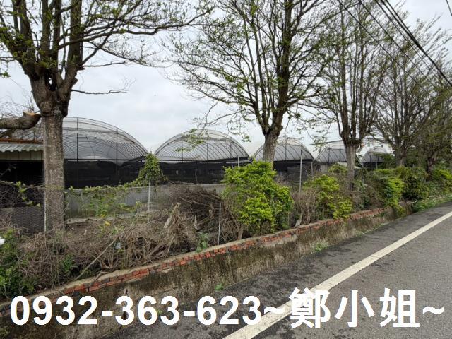 新屋農地-3