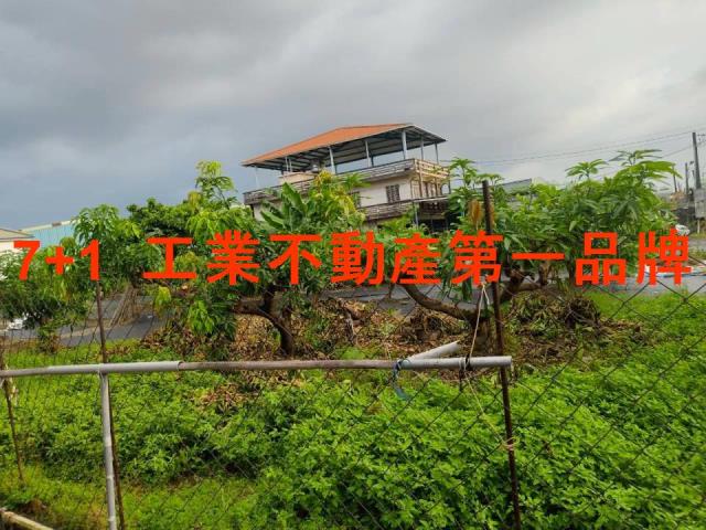 大寮農地-1