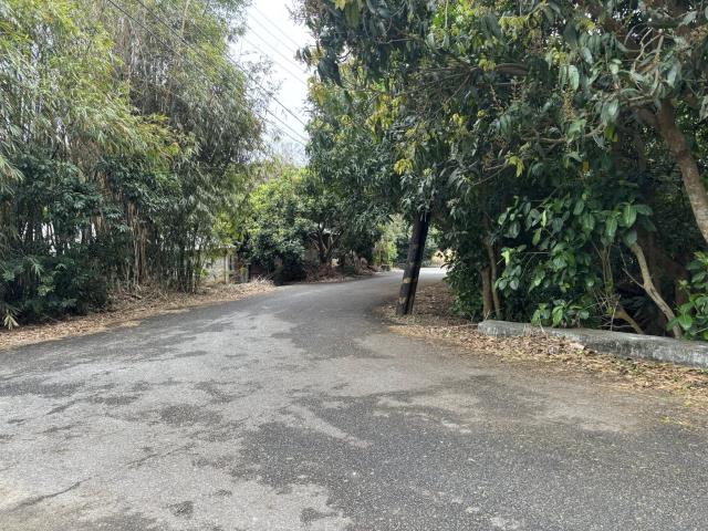 神岡農地-1