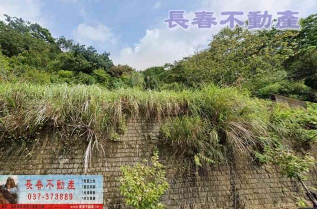 綠樹林幸福農地