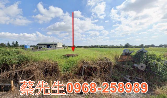 法拍農地斗南225分小農地靠台78東西向種田種心情