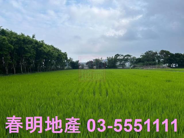 新竹農地-1
