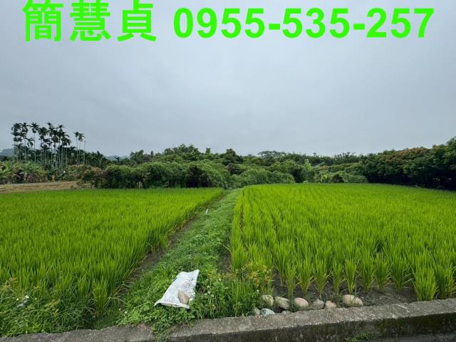 南投草屯農地-2