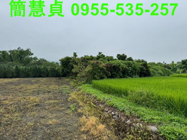 南投草屯農地-3