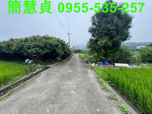 南投草屯農地-4