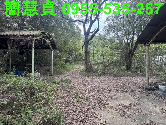 南投草屯農地-1