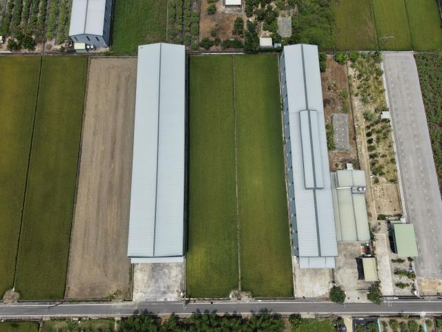 高雄阿蓮農地-0