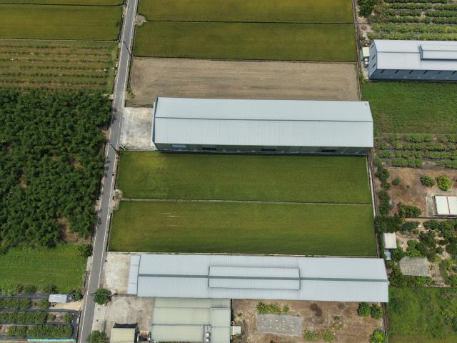 高雄阿蓮農地-1