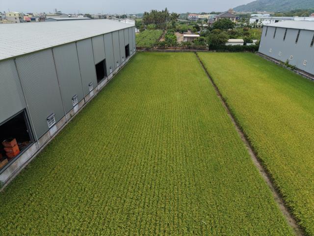 高雄阿蓮農地-5