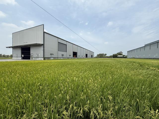 高雄阿蓮農地-7