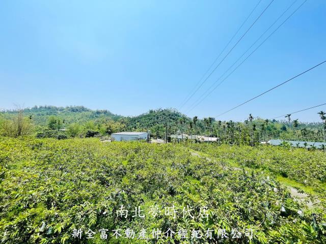 嘉義梅山農地-1