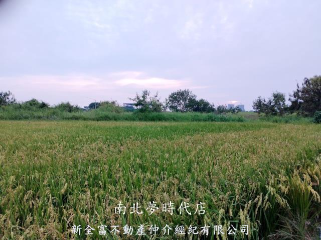 台南仁德農地-0