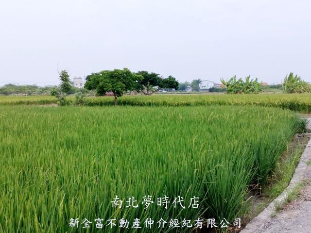 台南仁德農地-3