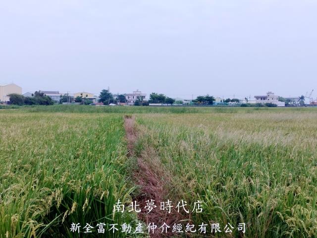 台南仁德農地-4