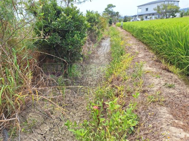 屏東恆春農地-3