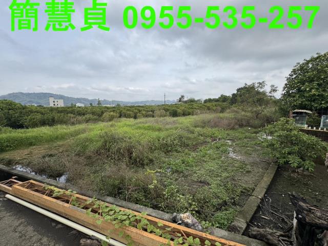 草屯農地-3