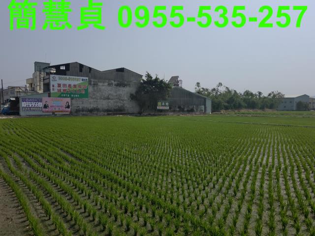 大里農地-2