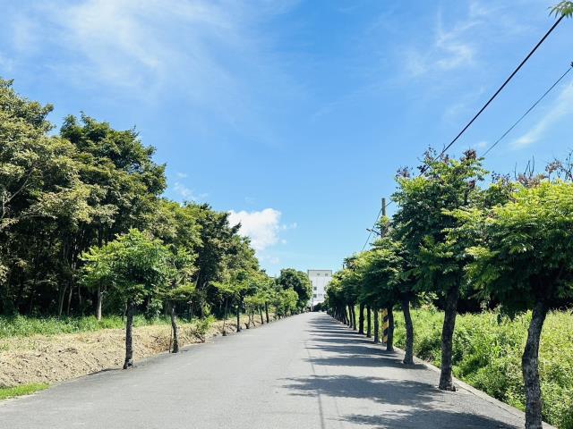 橋頭農地-10