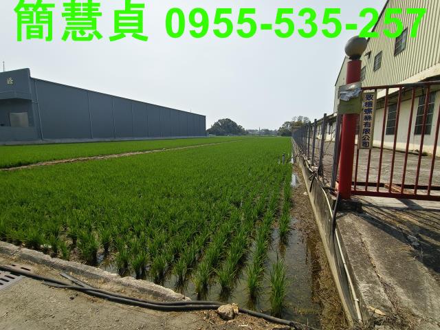 大里農地-1