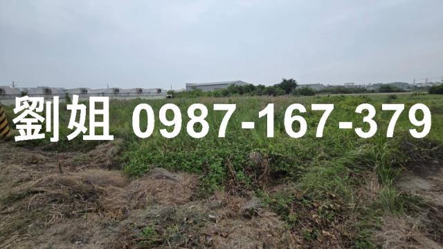 安南農地-1