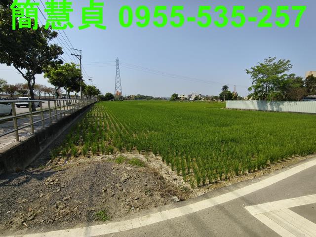 大里農地-3